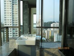 Skyline Residences (D4), Condominium #557057611